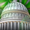 La Cámara de Representantes de EE UU aprueba una ley para regular el cannabis en todo el país