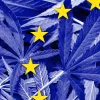 La mayoría de países de la UE venden productos de cannabis con bajo contenido de THC 