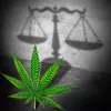 El Supremo reconoce que las hojas de la marihuana no están fiscalizadas internacionalmente