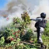 Así destruye una plantación de opio en Sinaloa el ejército mexicano