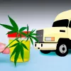 La mayoría de camioneros de EE UU apoya legalizar el cannabis y relajar la política de tests 