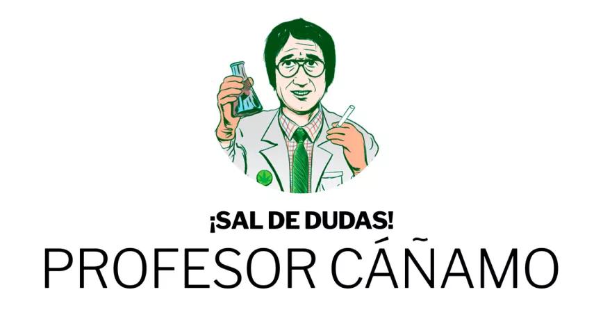 RRSS Profesor Cañamo