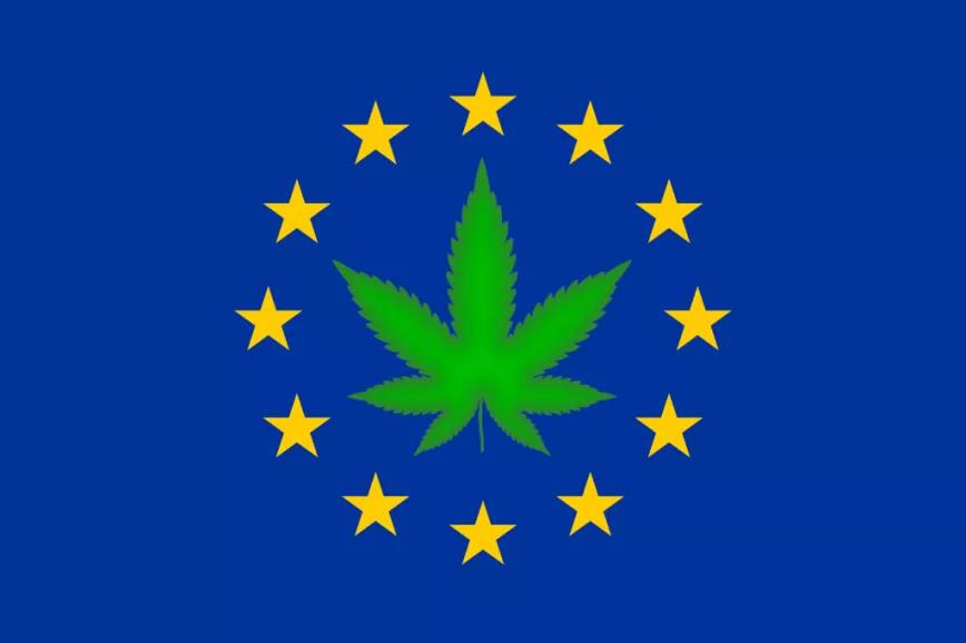 ¿Cuáles han sido las medidas del cannabis impulsadas en la ONU y la Unión Europea en el último año?