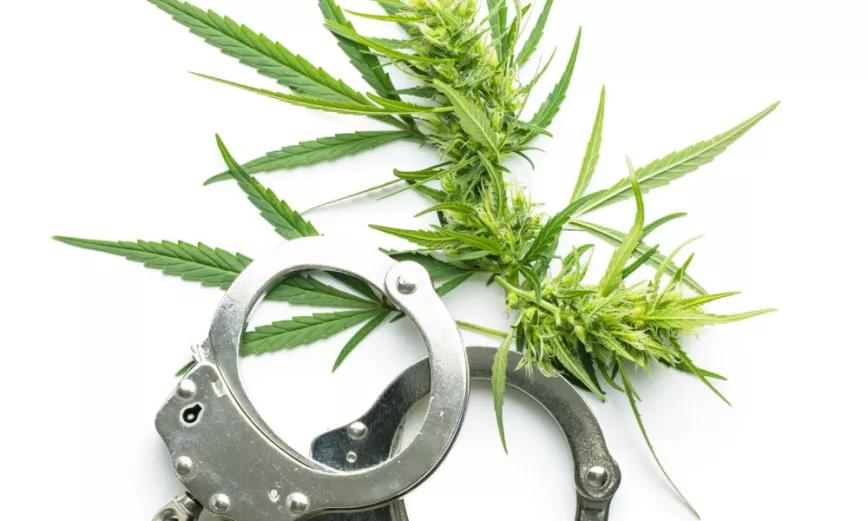El 84% de las denuncias y 58% de las detenciones por drogas del año pasado fueron por cannabis