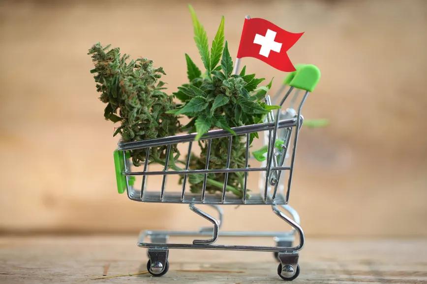 Suiza venderá cannabis recreativo a partir de septiembre