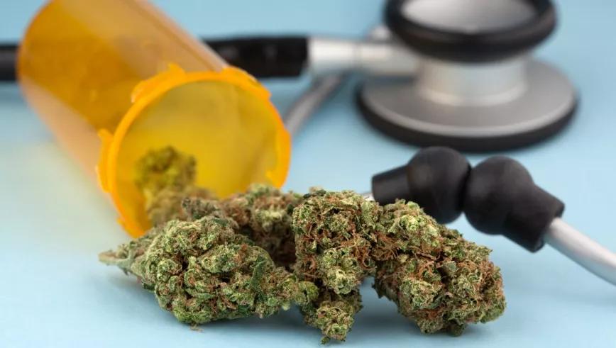 La Sanidad británica financia el primer tratamiento con cogollos de cannabis medicinal 