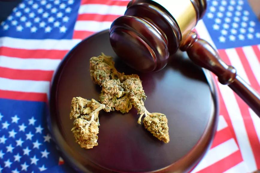 Un juez de la DEA ya recomendó reclasificar la marihuana… hace 35 años