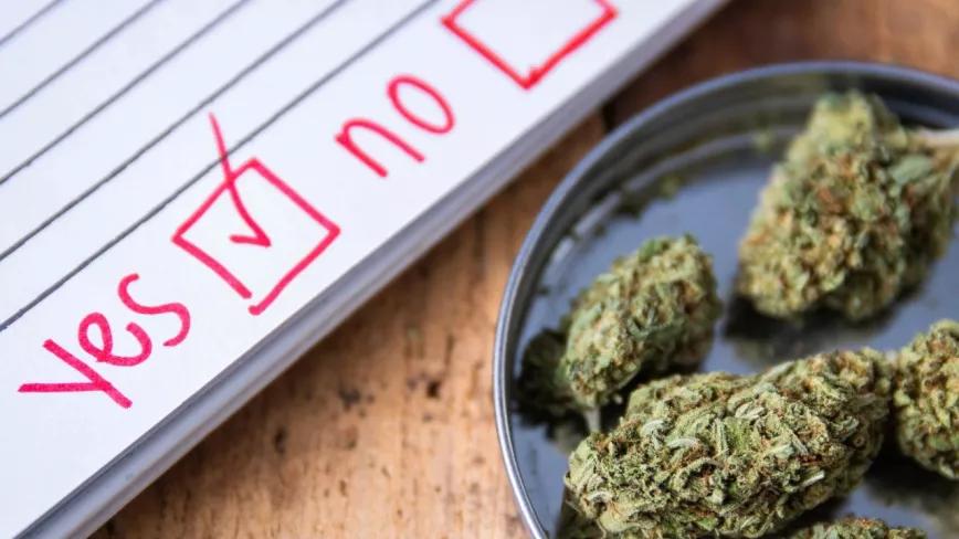 Siete de cada diez estadounidenses apoya la legalización de la marihuana