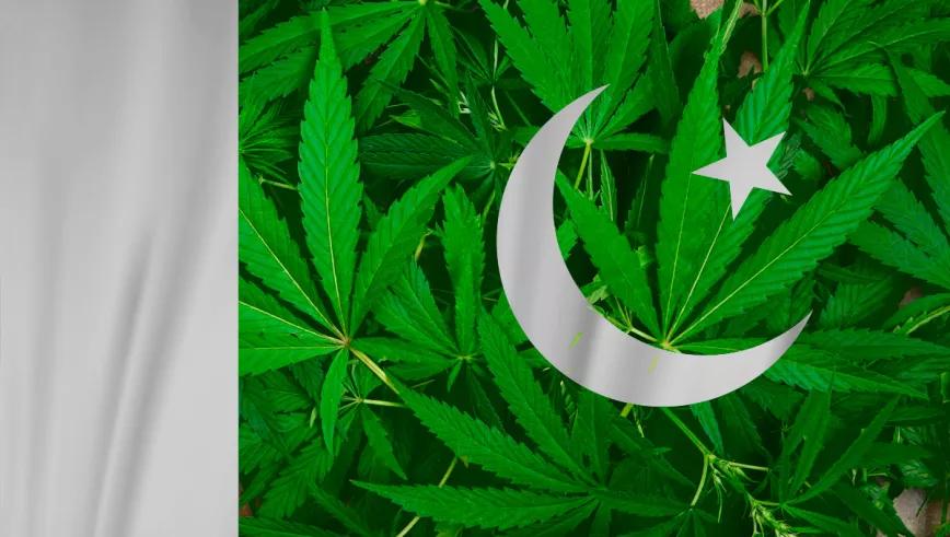 Pakistán promulga la ley que permitirá el uso medicinal del cannabis