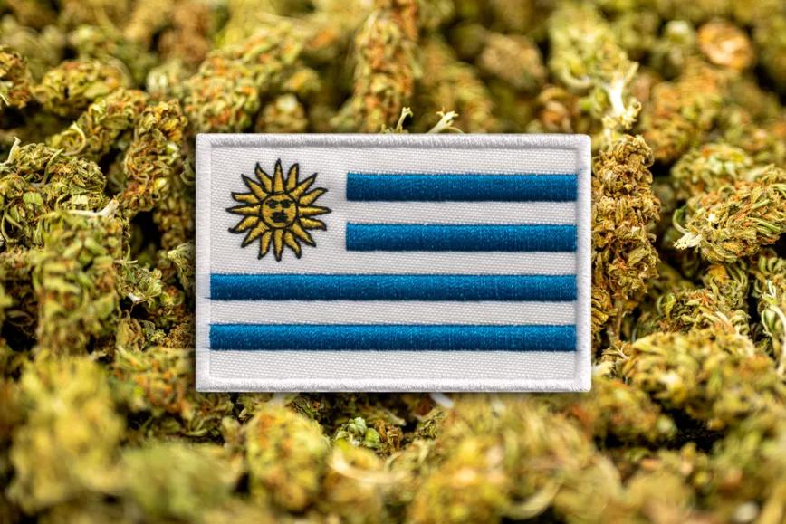 El retroceso de la marihuana en Uruguay 