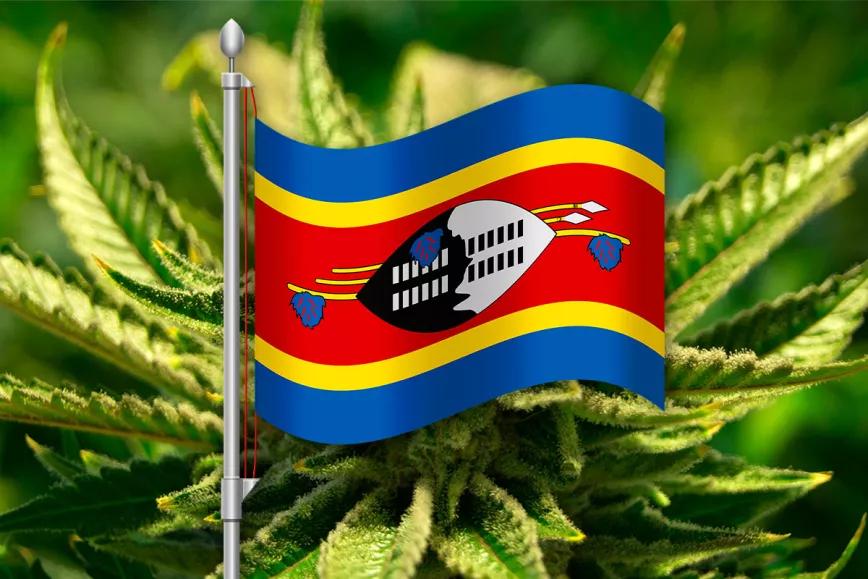 Eswatini cambiará una ley colonial para regular el cannabis