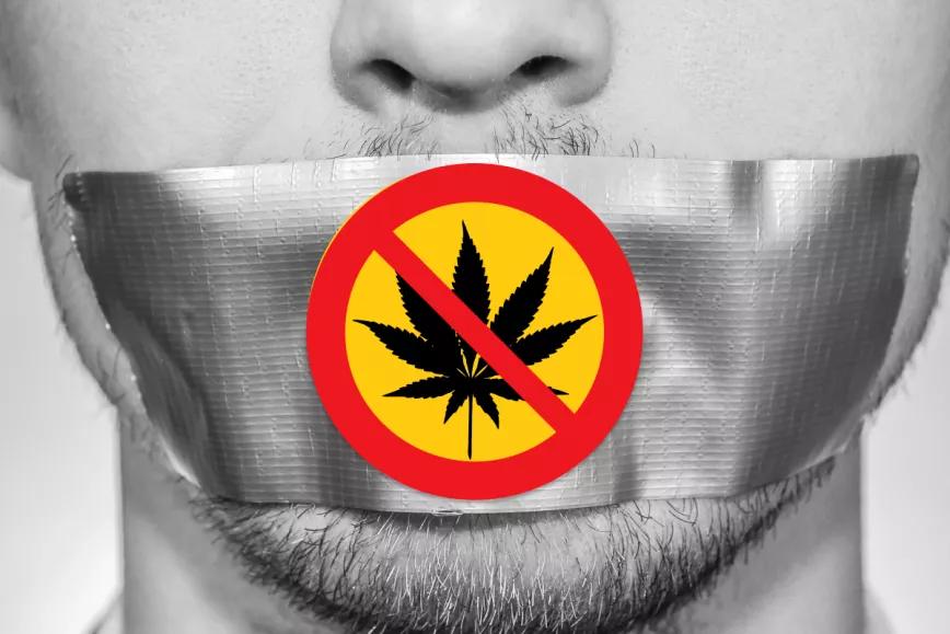 ¿Por qué la Ley Mordaza afecta más a los usuarios de cannabis?