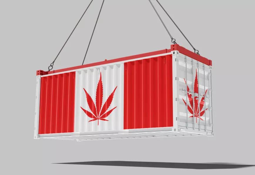 Canadá tuvo récord de exportaciones de cannabis con fines medicinales