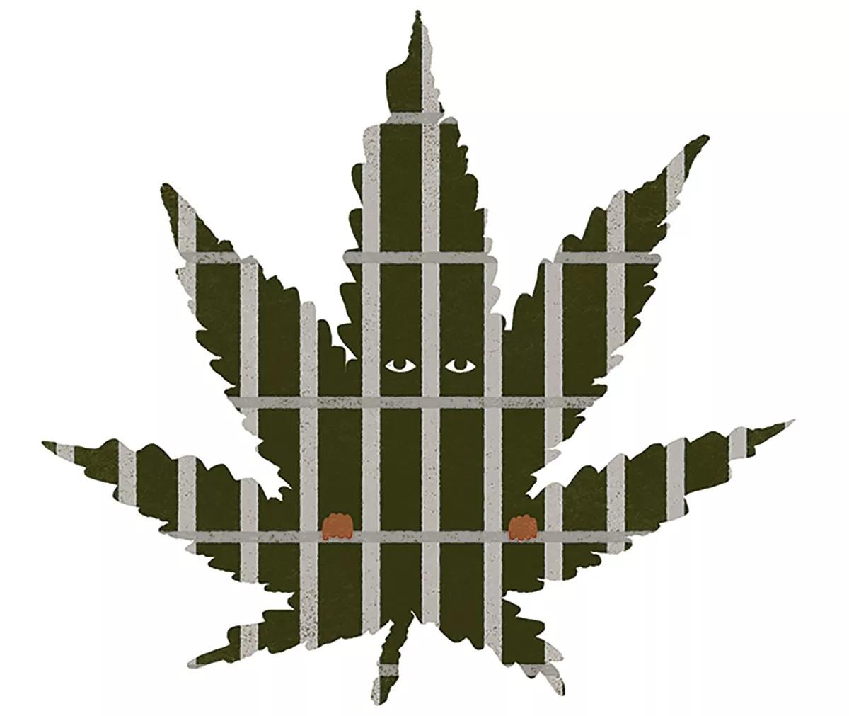 Ilustración Marihuana encarcelada