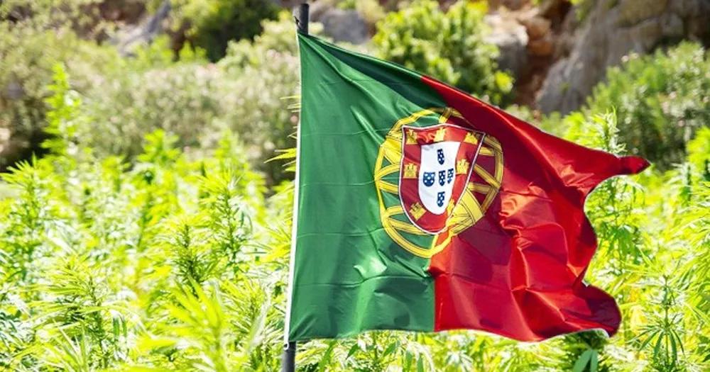 Cannabis en Portugal