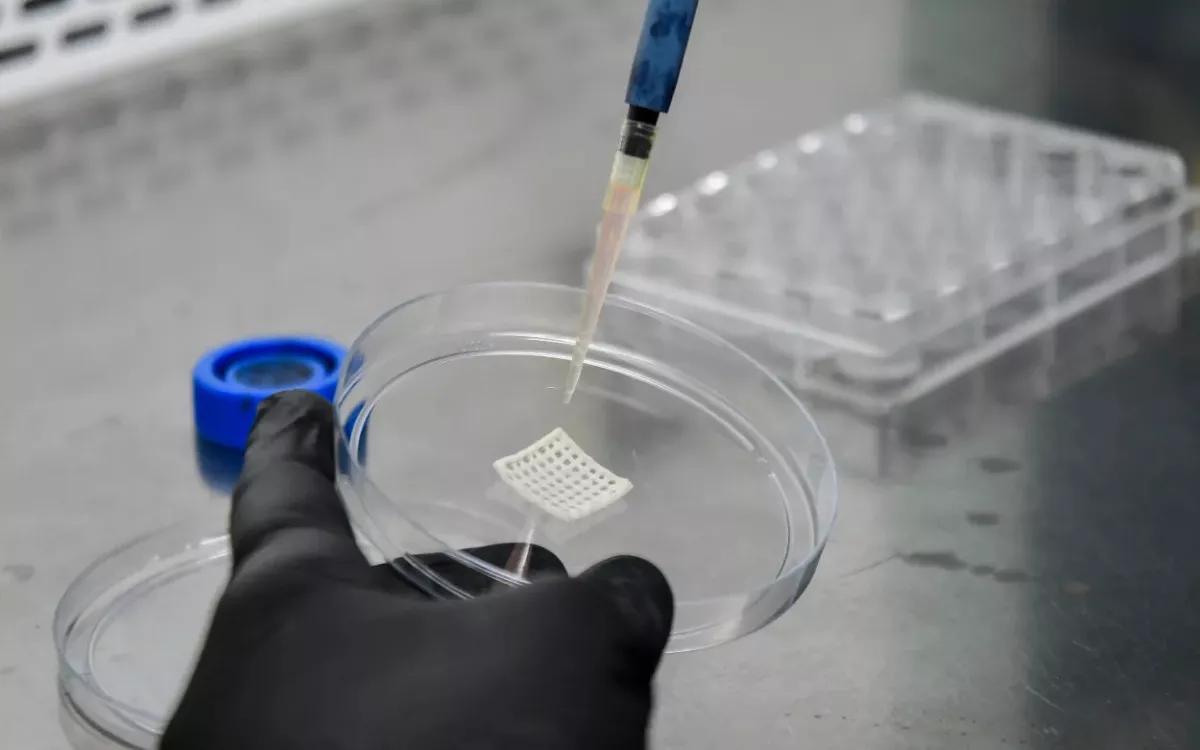Científicos argentinos desarrollaron una biotinta de cannabis para regenerar tejidos con impresión 3D
