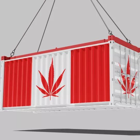 Canadá tuvo récord de exportaciones de cannabis con fines medicinales