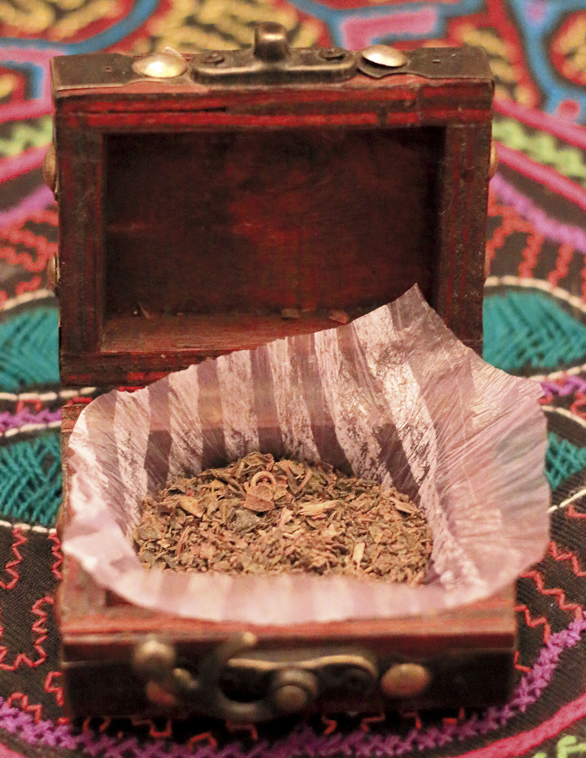 La ‘changa’ y el dolor Cáñamo