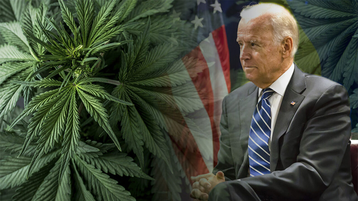 La legalización del cannabis obtiene más apoyos que Biden en una encuesta estadounidense