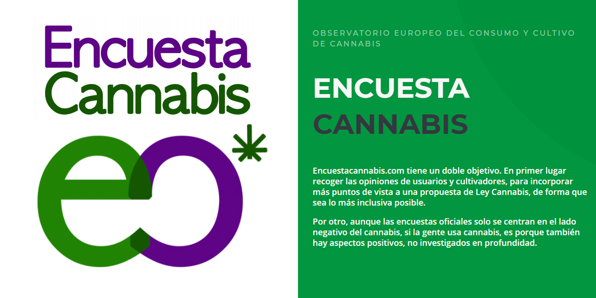 El OECCC lanza una encuesta online sobre el consumo y las políticas del cannabis