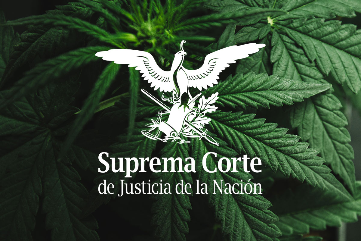 La Suprema Corte de México valora legalizar el cannabis desde el poder judicial