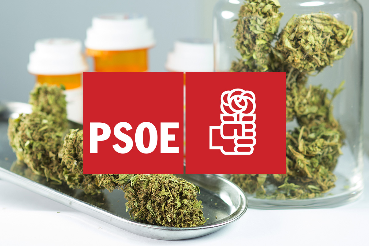La postura del PSOE ante la subcomisión de estudio del cannabis medicinal