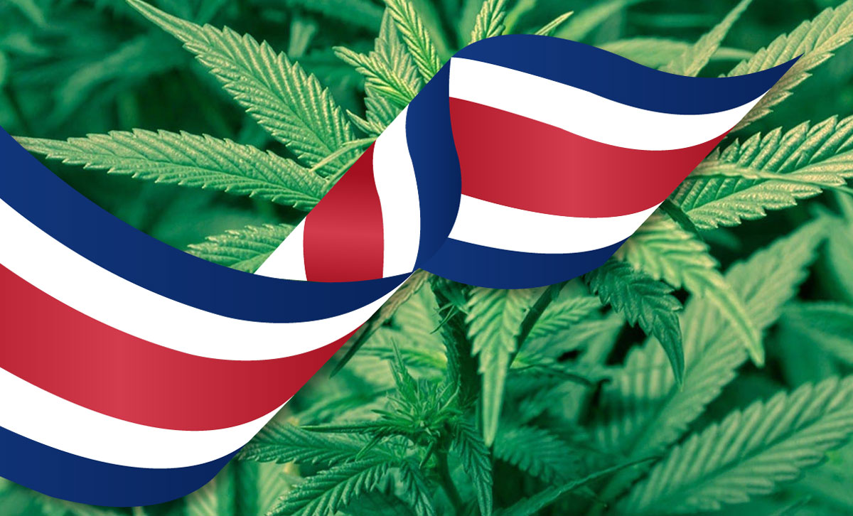 Costa Rica se acerca a la regulación del cannabis medicinal con la aprobación del Congreso