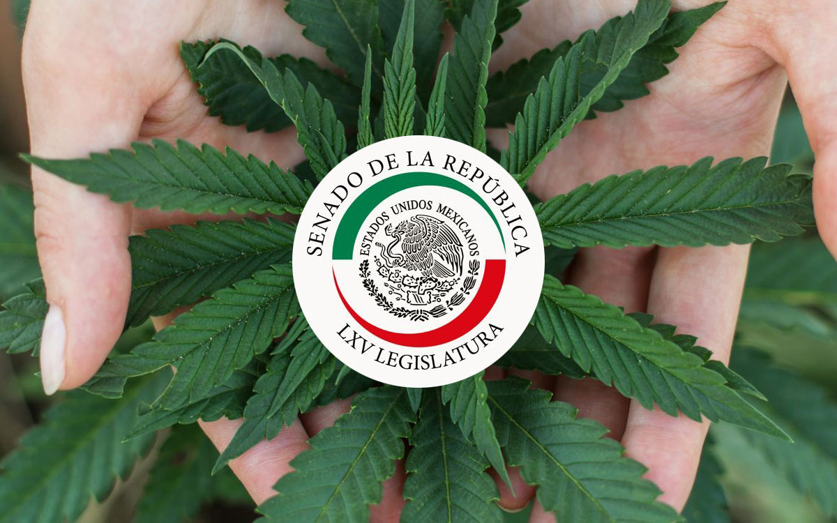 Los senadores mexicanos pactan aprobar la regulación del cannabis antes de 2022