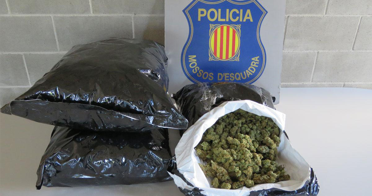 Detenidos cuatro Mossos d’Esquadra por revender material incautado para el cultivo de cannabis 