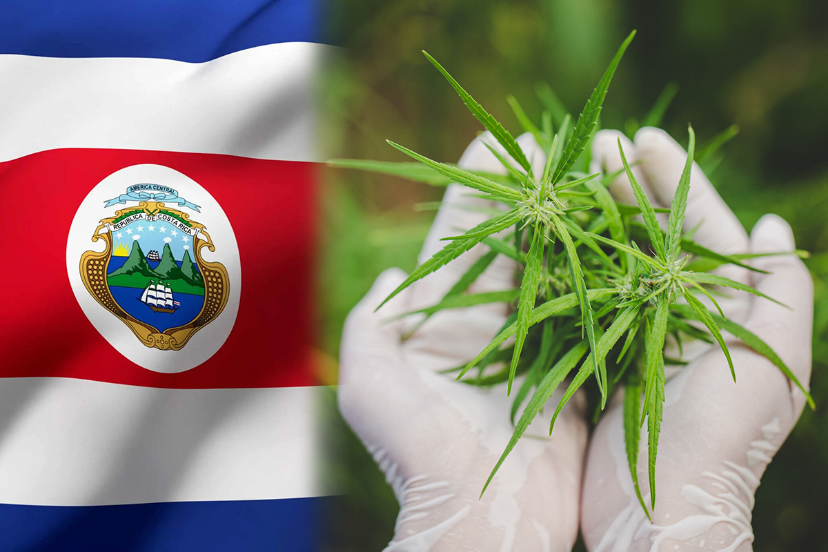 El Constitucional de Costa Rica da luz verde a la ley de cannabis medicinal 