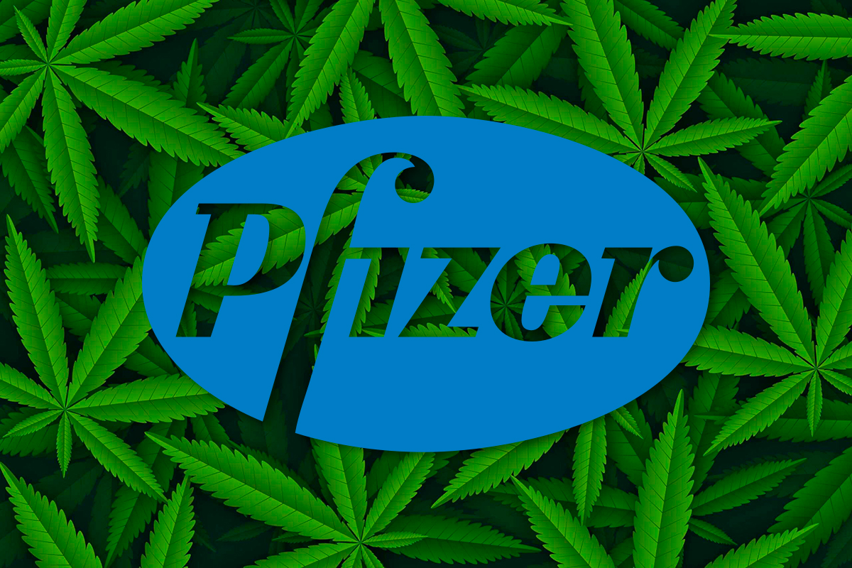 Pfizer entra en el cannabis medicinal tras adquirir una empresa que investiga fármacos cannábicos 