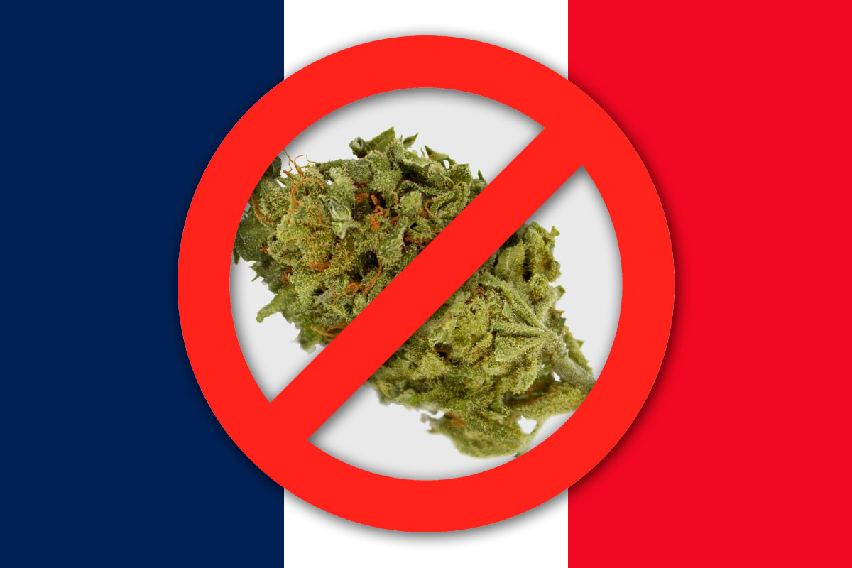 Francia prohíbe la venta y el consumo de cogollos de CBD