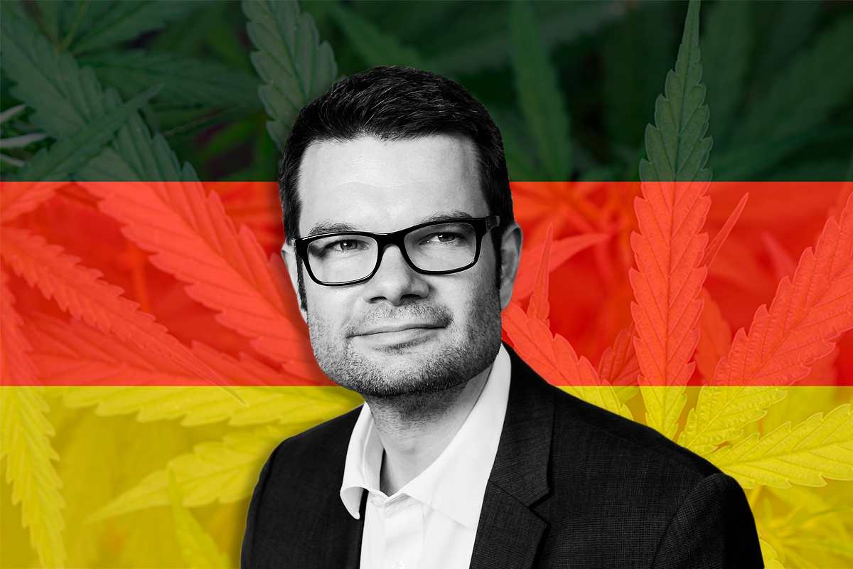 El Gobierno alemán ofrece algunos detalles de la futura regulación del cannabis
