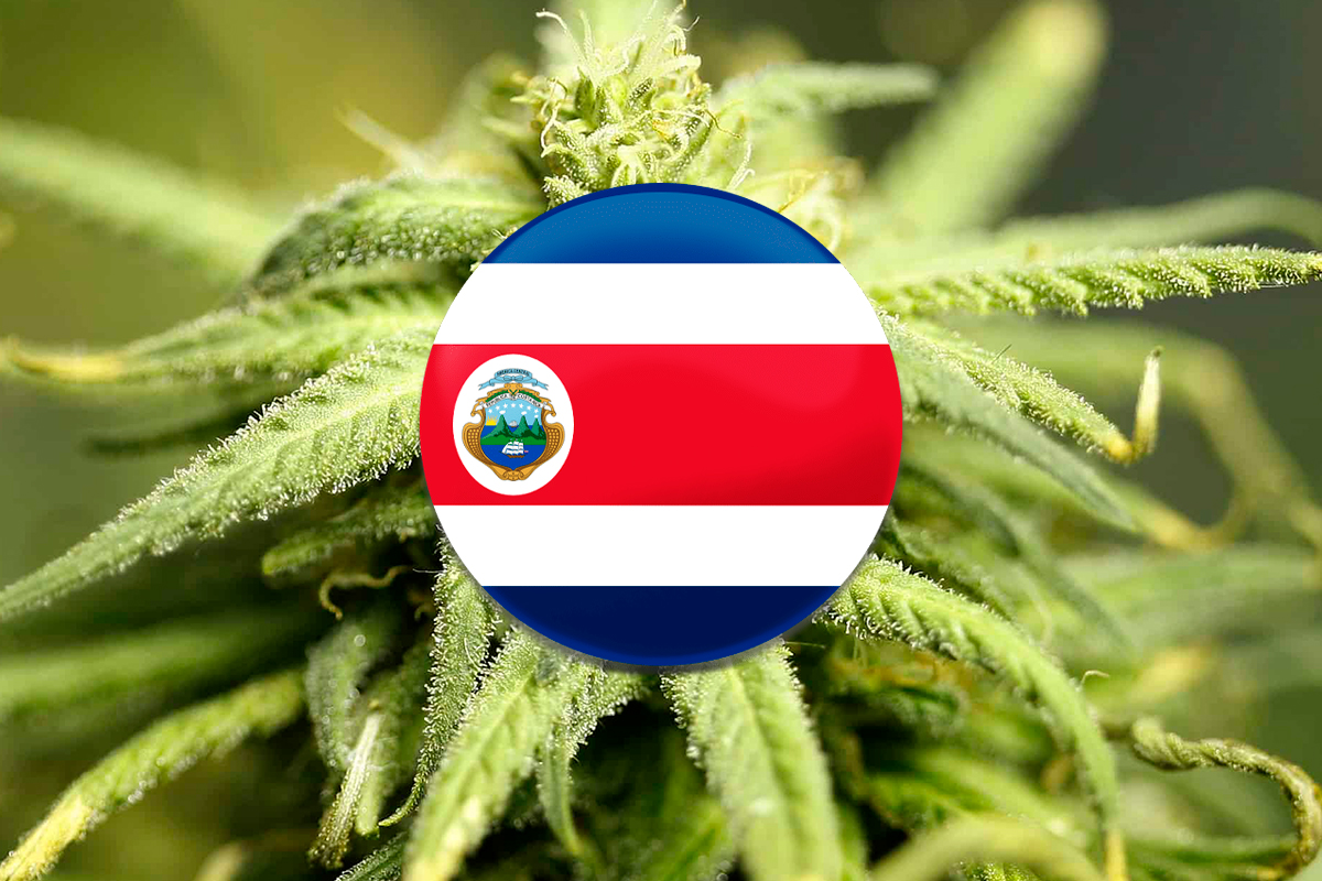 El Congreso de Costa Rica aprueba la regulación del cannabis medicinal