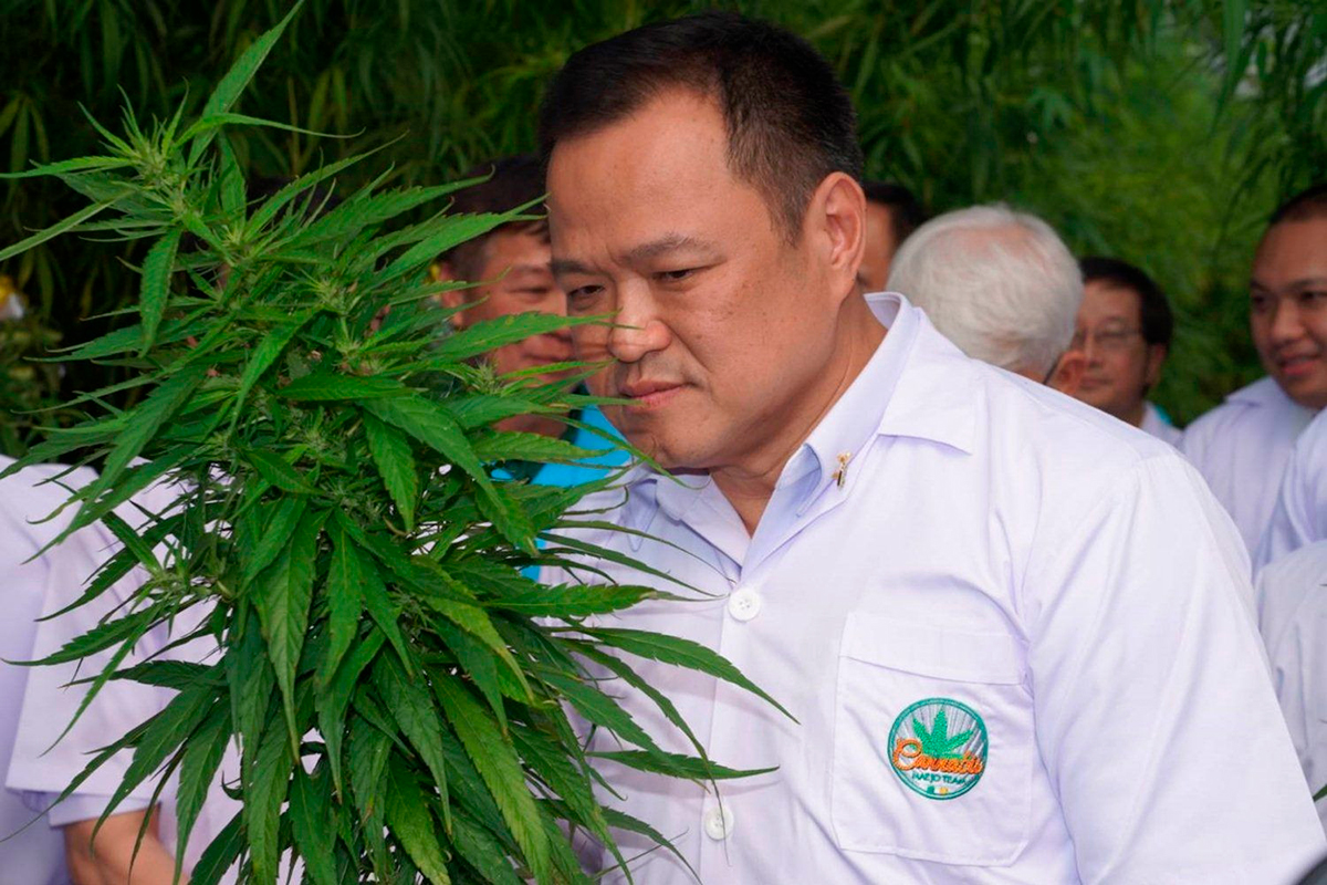 Tailandia planea despenalizar todos los usos del cannabis, incluído el recreativo 