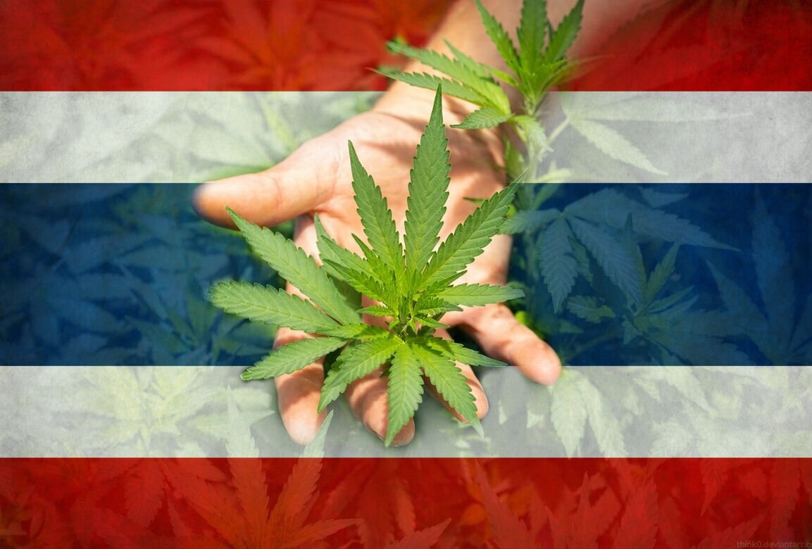 Tailandia quita el cannabis de su lista de sustancias prohibidas