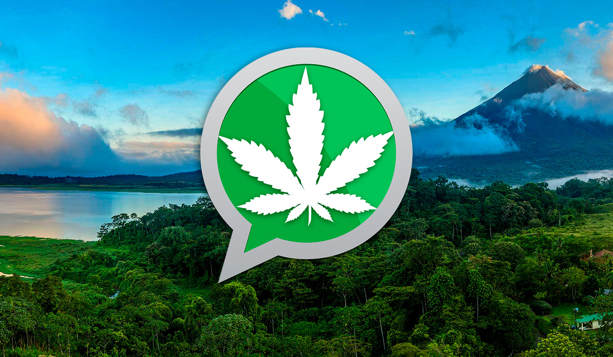 Costa Rica aprueba la regulación del cannabis medicinal con los cambios obligados por el presidente 