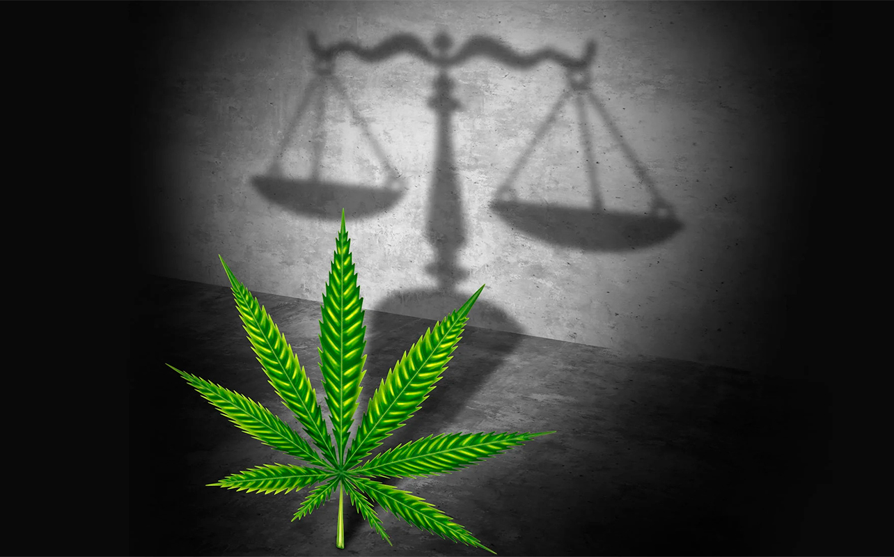 El Supremo reconoce que las hojas de la marihuana no están fiscalizadas internacionalmente