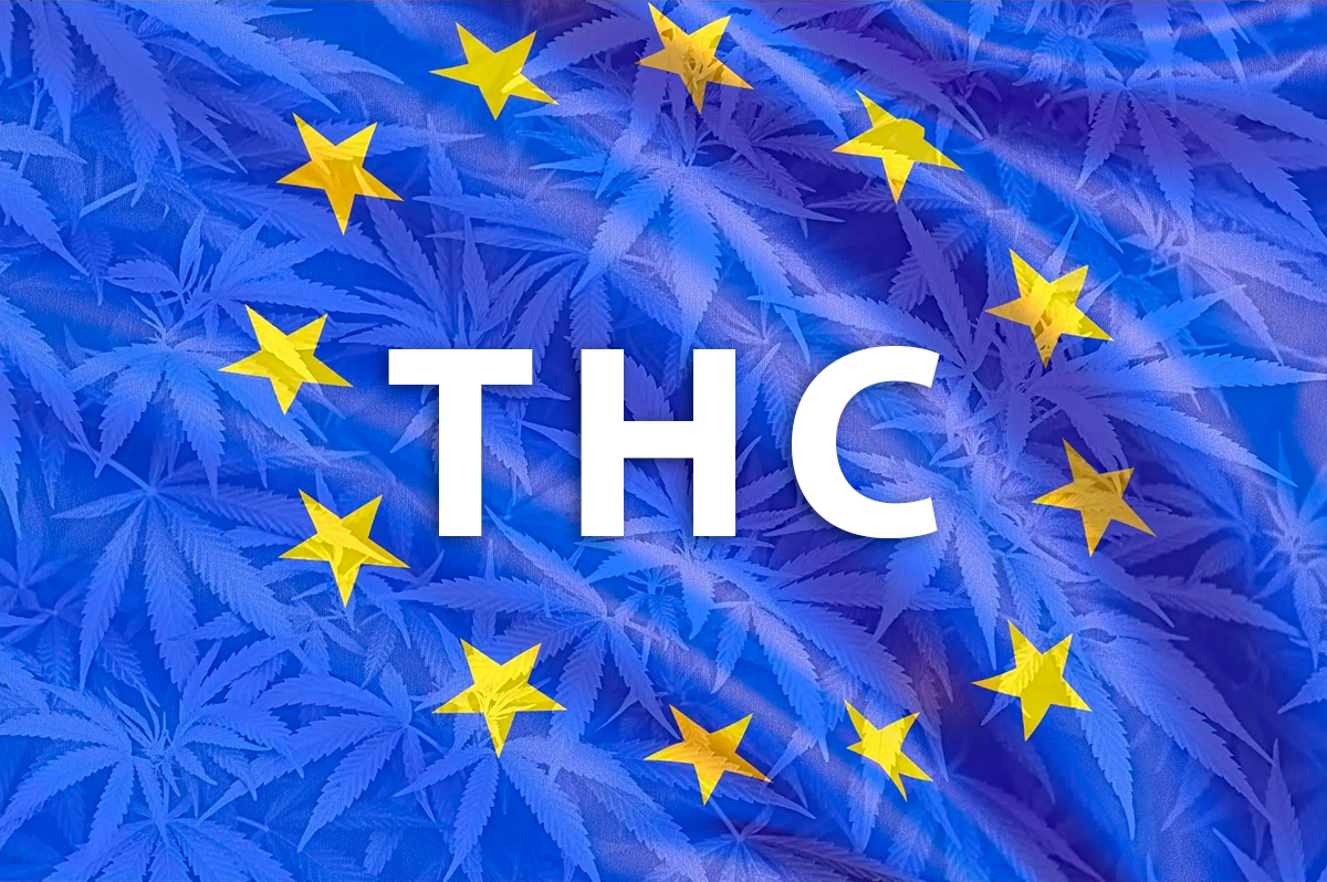 La Comisión Europea establece la cantidad máxima de THC en los alimentos de cáñamo