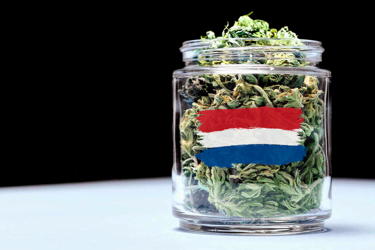 El cannabis legal en Países Bajos tendrá que esperar a 2023