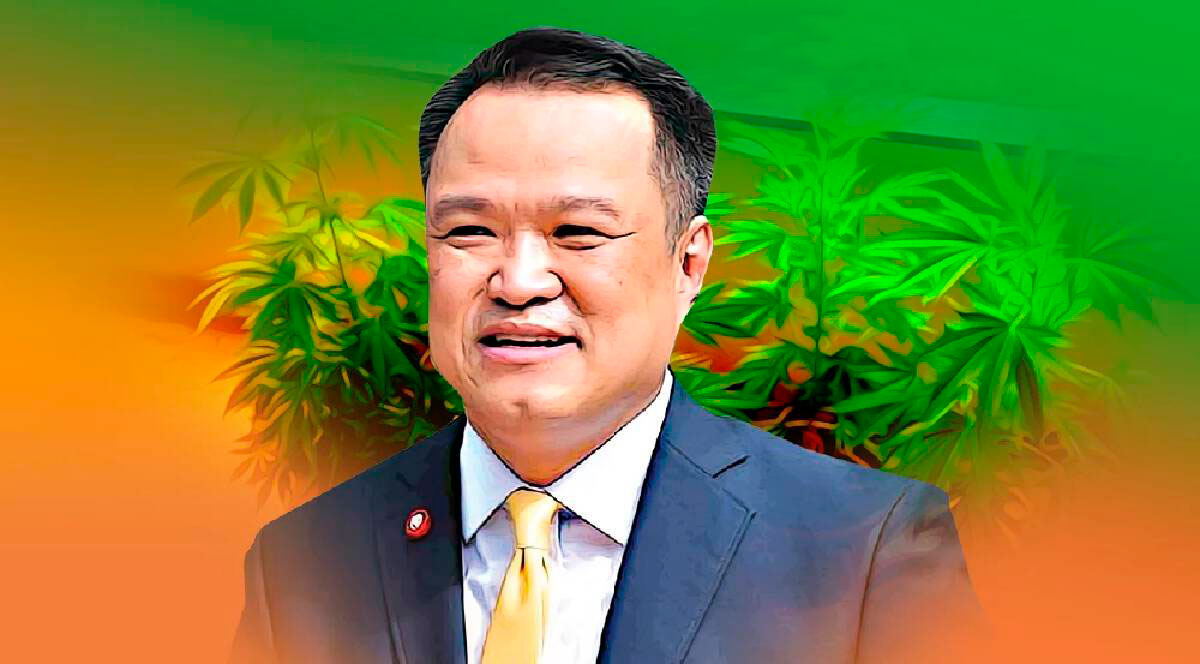 Tailandia regalará un millón de plantas de cannabis a sus ciudadanos 