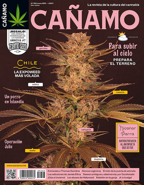 Último número de la revista Cáñamo