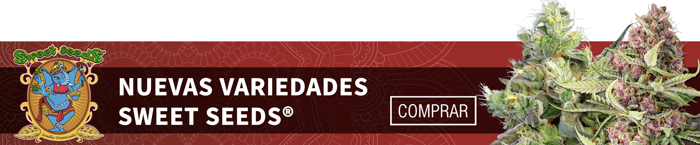 Sweet Seeds Nuevas Variedades