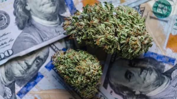 Illinois, Maine, Michigan y Misuri baten récords de ventas de cannabis en julio
