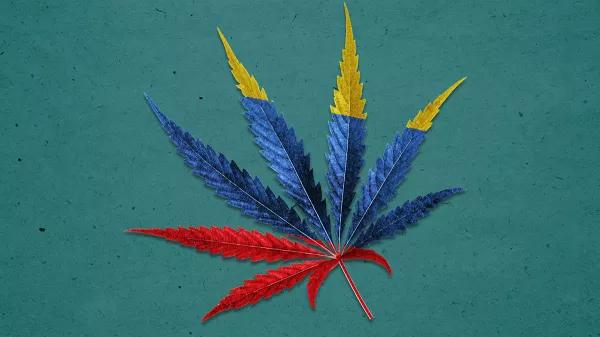 El proyecto de regulación del cannabis en Colombia supera el primer debate en el Congreso 