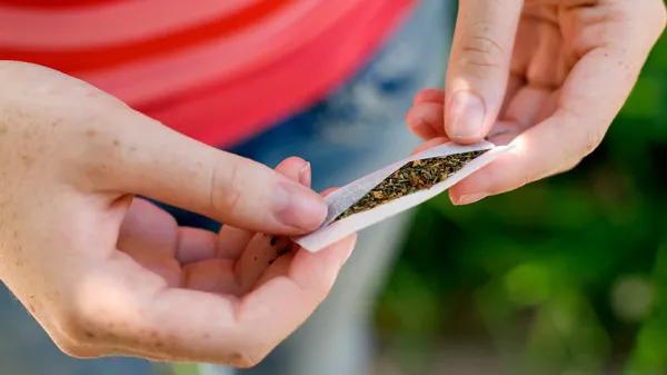 La regulación del cannabis no aumenta el consumo adolescente afirma un estudio de una prestigiosa revista  