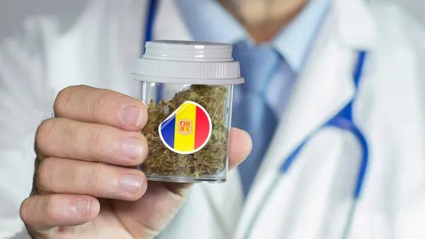 Andorra encarga la redacción de una ley para regular el cannabis medicinal