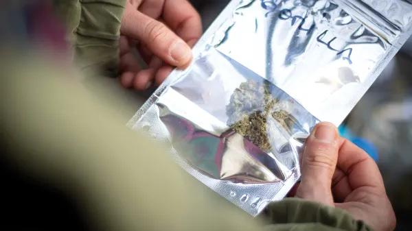 Uruguay: una década de cannabis legal