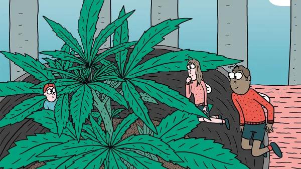 Siembra en febrero y cosecha en mayo: trucos para la maría de primavera 