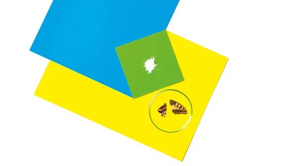 Drogas ‘fly’: las poderosas mariposas del mundo psicofarmacológico